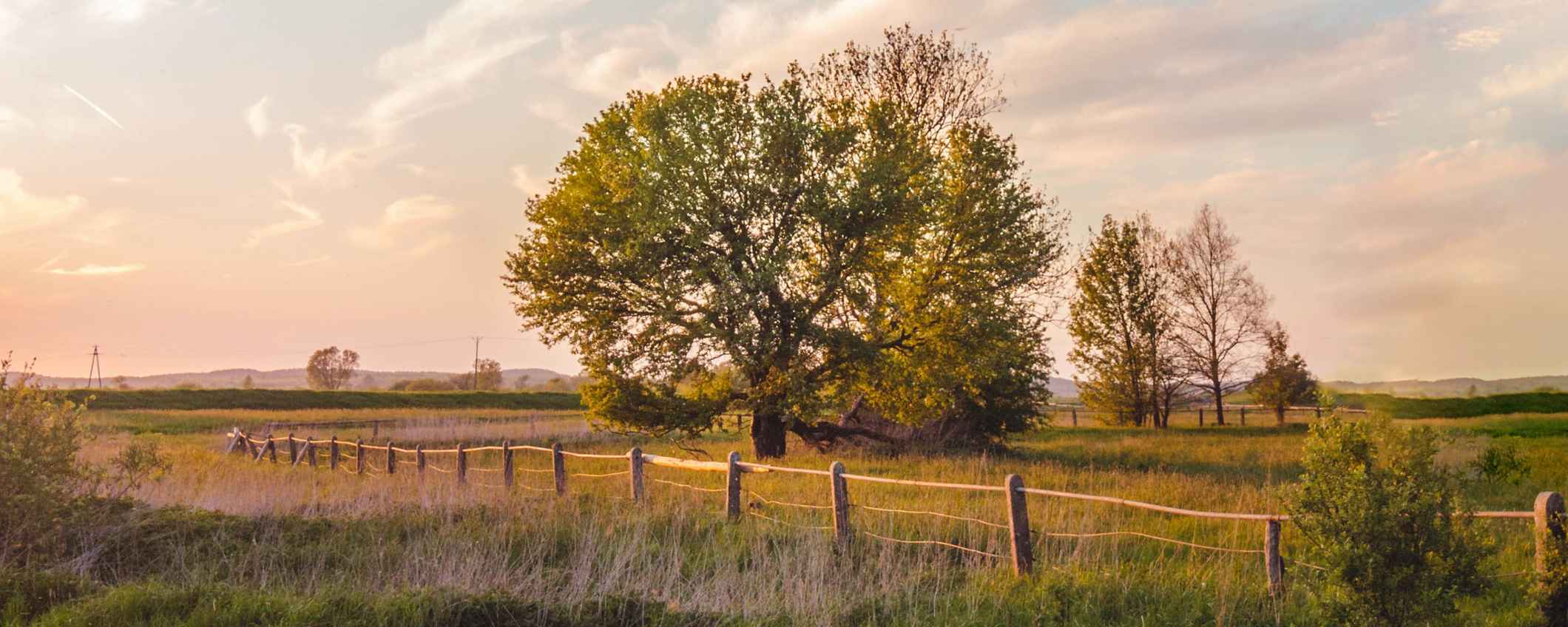 Foto: Tomasz Filipek voor Unsplash