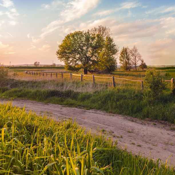 Landbouwers die hoop doen leven