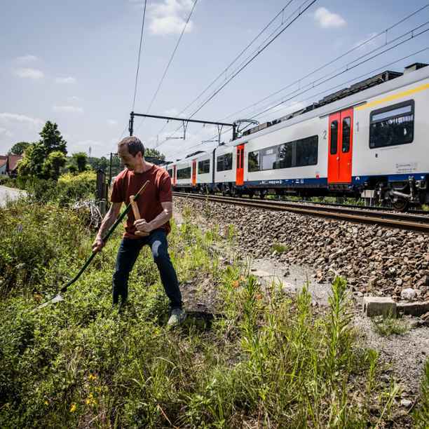 Ecostrades brengen leven langs de spoorwegberm