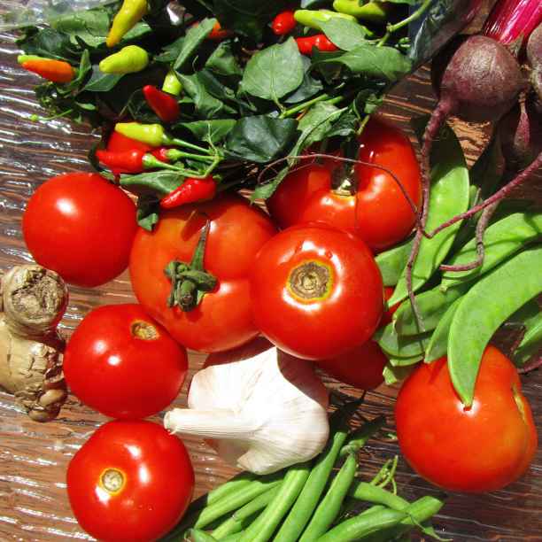 Les Gantois veulent des fruits et légumes bio, locaux, et livrables