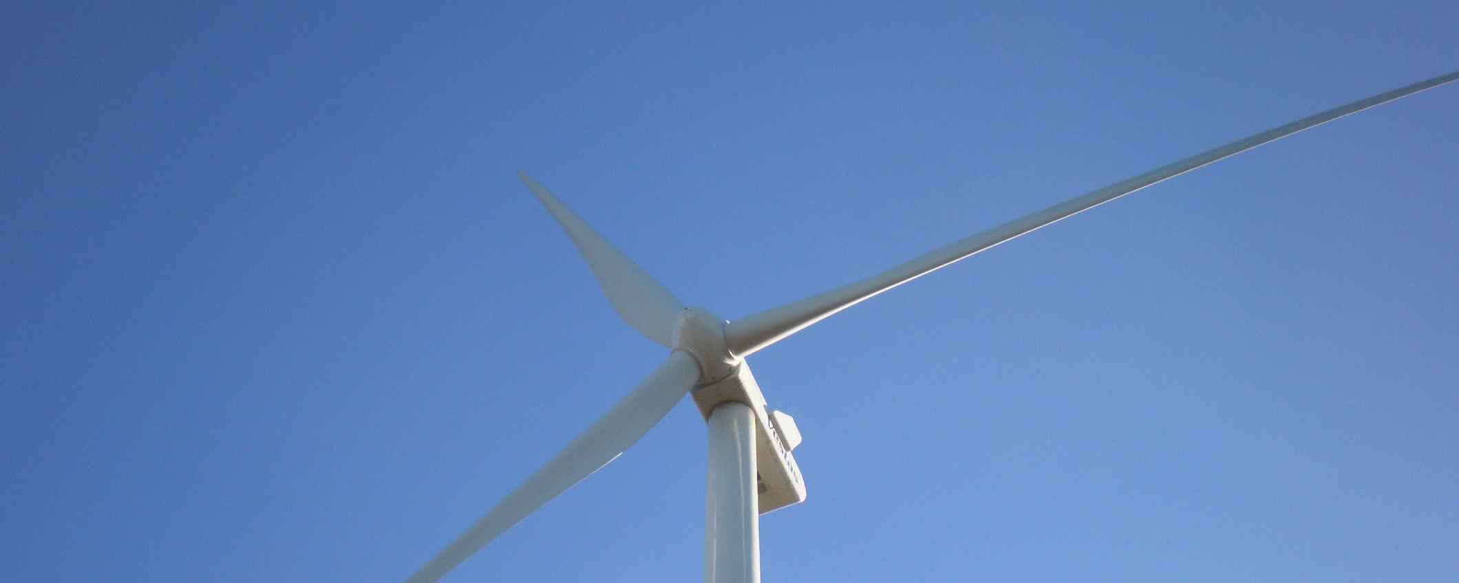 Vestas Wind Systems A/S, une entreprise pionnière dans la protection de l'environnement