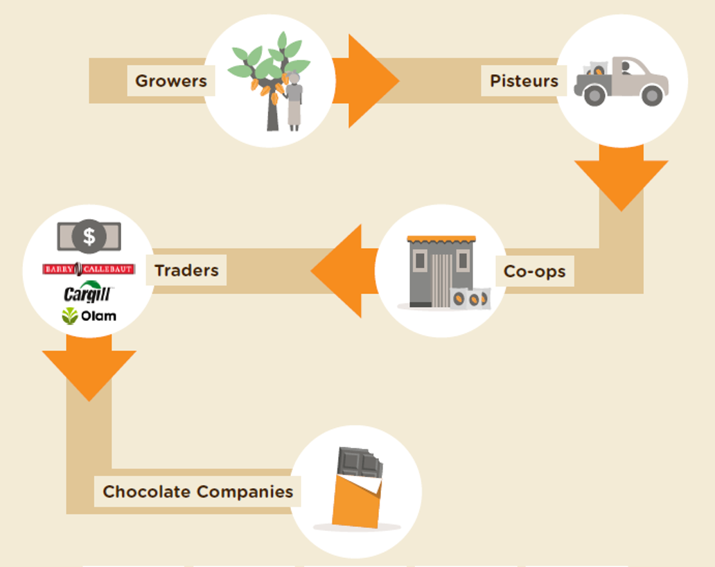 De productieketen van cacao