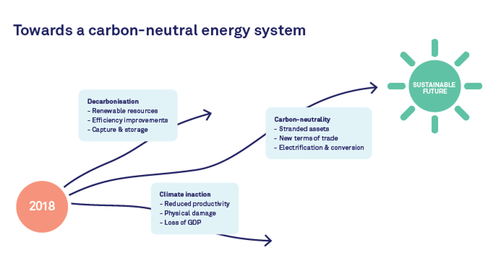 Towards a carbon neutrality