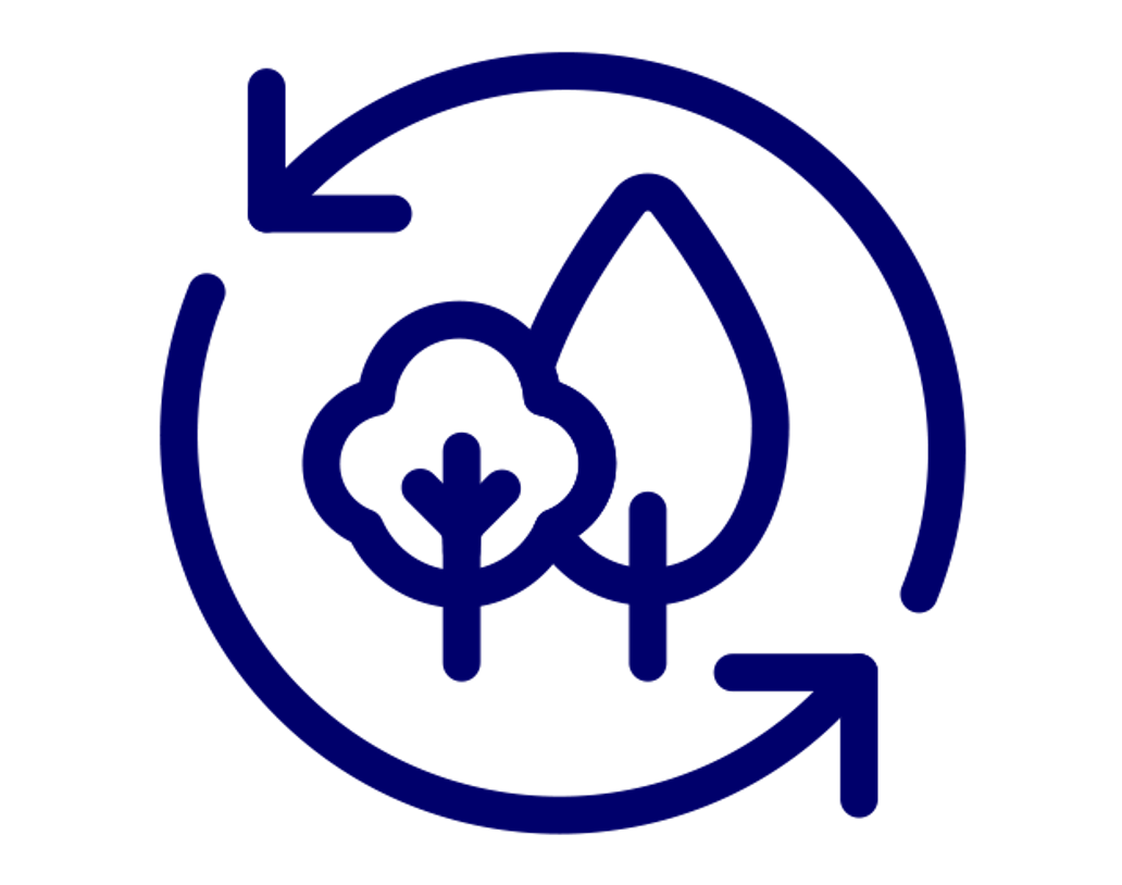 Icone sustainability