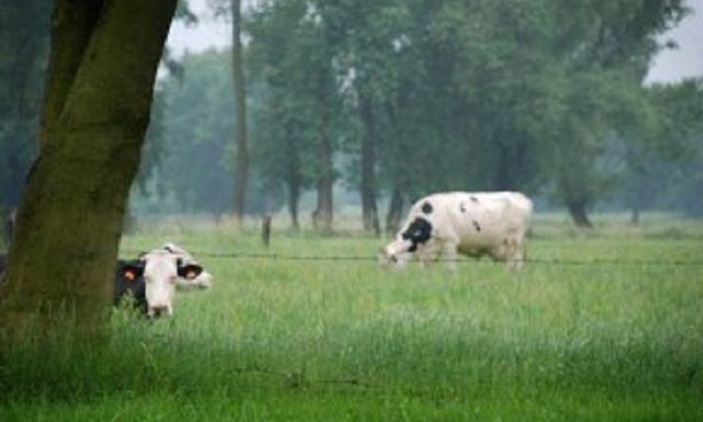 Biomelk Vlaanderen / Biolait Wallonie